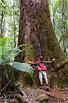 Randonneur sur la promenade des arbres Tall éclipsé par les grands arbres, Parc National du Mont champs, Tasmanie, Australie, Pacifique