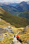 Ein Wanderer auf einem Trail führt zu Conical Hill auf dem Routeburn Track, Teil des Fiordland-Nationalpark, Südinsel, Neuseeland, Pazifik