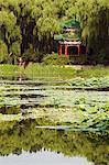 A pavilion among lily pads on a lake at Yuanmingyuan (Old Summer Palace), Beijing, China, Asia