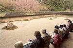Watching and contemplating at Ryoanji temple, dry stone garden and blossom, UNESCO World Heritage Site, Kyoto city, Honshu island, Japan