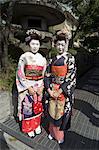 Geisha, maiko (trainee geisha) in Gion, Kyoto city, Honshu, Japan, Asia