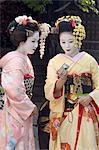 Geisha, maiko (trainee geisha) in Gion, Kyoto city, Honshu, Japan, Asia