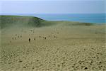 Tottori Sanddünen und Meer, Präfektur Tottori, Japan