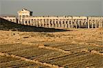 Archaelogical site, Apamea (Qalat at al-Mudiq), Syria, Middle East