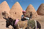 Man on donkey in front of beehive houses built of brick and mud, Srouj village, Syria, Middle East