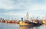 Pêche de la flotte au port, Mar del Plata, en Argentine, en Amérique du Sud