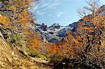 Cerro Catedral, Bariloche (Argentine), en Amérique du Sud