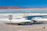 Aucun signe de stationnement, Laguna Colorada, Uyuni en Bolivie, Amérique du Sud