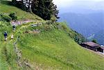 Hikers on Ortisei (St. Ulrich) to San Giacomo trail, Val Gardena, San Giacomo, Dolomites, Alto Adige, Italy, Europe