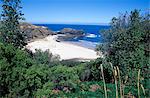 Vue sur les arbres à trbeach et la baie de Bushranger, Mornington Peninsula, Victoria, Australie, Pacifique