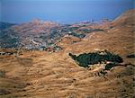 The last remaining cedars, Qadisha Valley (Ouadi Qadisha) (Holy Valley), UNESCO World Heritage Site, Lebanon, Middle East