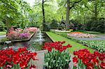 Keukenhof gardens, Holland, Europe