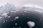 Paradise Bay, péninsule de l'Antarctique, l'Antarctique, les régions polaires