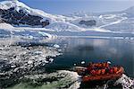 Neko Harbor, Gerlache Strait, Antarktische Halbinsel, Antarktis, Polarregionen