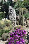 Botanic garden (Jardin Exotique), Eze village, Alpes Maritimes, Provence, Côte d'Azur, French Riviera, France, Europe