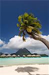 Pearl Beach Resort, Bora-Bora, Leeward gruppieren, Gesellschaftsinseln, Französisch-Polynesien, Pazifische Inseln, Pazifik