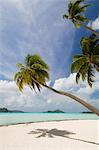 Bora-Bora, Leeward group, Society Islands, French Polynesia, Pacific Islands, Pacific