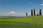 Countryside near Pienza, Val d'Orcia, Siena province, Tuscany, Italy, Europe