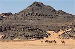 Wadi Teshuinat, Akakus, Sahara desert, Fezzan, Libya, North Africa, Africa