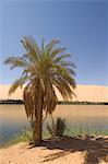 Gabroun lake, Erg Awbari, Sahara desert, Fezzan (Libye), l'Afrique du Nord, Afrique