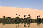 Umm El Ma lake, Erg Awbari, Sahara desert, Fezzan, Libya, North Africa, Africa