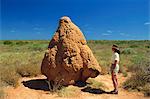 Termite mound, Shark Bay, Western Australia, Australia, Pacific