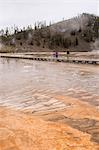 Niedrigere Geyser Basin, Yellowstone National Park, UNESCO World Heritage Site, Wyoming, Vereinigte Staaten, Nordamerika