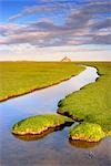 Salt Marsh and Mont Saint Michel in Background, Normandy, France