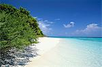 Mendu Island, Baa Atoll, Maldives, Indian Ocean, Asia