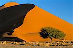 Dune de sable, le champ de dunes de Sossusvlei, parc de Namib-Naukluft, désert de Namib, en Namibie, en Afrique