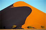 Sand dune, Sossusvlei dune field, Namib-Naukluft Park, Namib Desert, Namibia, Africa