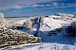 Roman Wall, Wallcrags to East, Northumbria, England, United Kingdom, Europe