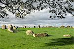 Long Meg cercle des druides, Little Salkeld, Eden Valley, Cumbria, Angleterre, Royaume-Uni, Europe