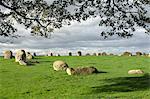 Long Meg Druids Circle, Little Salkeld, Eden Valley, Cumbria, England, United Kingdom, Europe