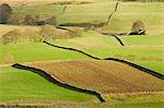 Patchwork of fields, lower slopes of Pennines, Eden Valley, Cumbria, England, United Kingdom, Europe