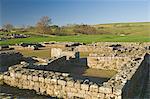 Headquarters building, Roman settlement and fort at Vindolanda, Roman Wall south, UNESCO World Heritage Site, Northumbria, England, United Kingdom, Europe