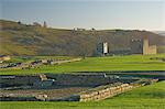 View south to reconstruction, Roman settlement and fort at Vindolanda, Roman Wall south, UNESCO World Heritage Site, Northumbria, England, United Kingdom, Europe