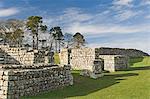 West gate of Housesteads Roman Fort, Hadrians Wall, UNESCO World Heritage Site, Northumbria, England, United Kingdom, Europe