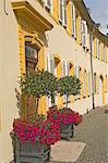Terrasse des maisons avec des fenêtres avec volets traditionnels, ville frontière allemande de Perl, sentier de la rivière Moselle (Moselle) vin, sur l'Europe de frontière, Allemagne, Luxembourg