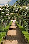 Arches of roses, Mottisfont Abbey Garden, Hampshire, England, United Kingdom, Europe