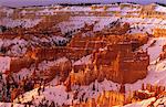 Cheminées de fée, amphithéâtre de Bryce, Parc National de Bryce Canyon, Utah, États-Unis d'Amérique (États-Unis d'Amérique), Amérique du Nord