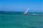 Planche à voile à Pigeon Point, Tobago, Antilles, Caraïbes, Amérique centrale
