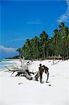 Zanzibar garçons jouant sur Pingwe beach, île de Zanzibar, Tanzanie, Afrique de l'est, Afrique