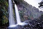 Dawson Falls, Egmont National Park, Taranaki, North Island, New Zealand, Pacifique
