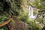 Dawson Falls, Egmont-Nationalpark, Taranaki, Nordinsel, Neuseeland, Pazifik