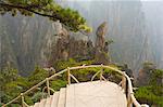 Sentier, vallée de Xihai (ouest de la mer), Mont Huangshan (Yellow Mountain), UNESCO World Heritage Site, Anhui Province, Chine, Asie