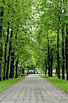 Parc de l'Esplanade, vert près de la cathédrale orthodoxe russe, Riga, Lettonie, pays baltes, l'Europe