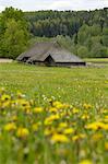 Typical Latvian farmstead, near Ligatne, Gauja National Park, Latvia, Baltic States, Europe
