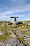 Dolmen de Poulnabrone portail tombe mégalithique, le Burren, comté de Clare, Munster, Irlande, Europe