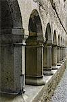 Cloître, Ross Errilly Franciscan Friary, près de Headford, comté de Galway, Connacht, Irlande, Europe